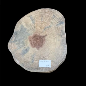 Rodaja de Madera Abeto