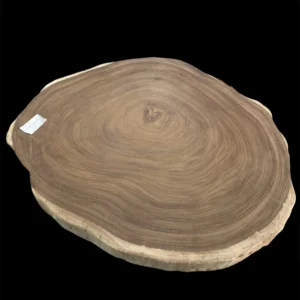 Rodaja de Madera de Parota 10 cm grosor