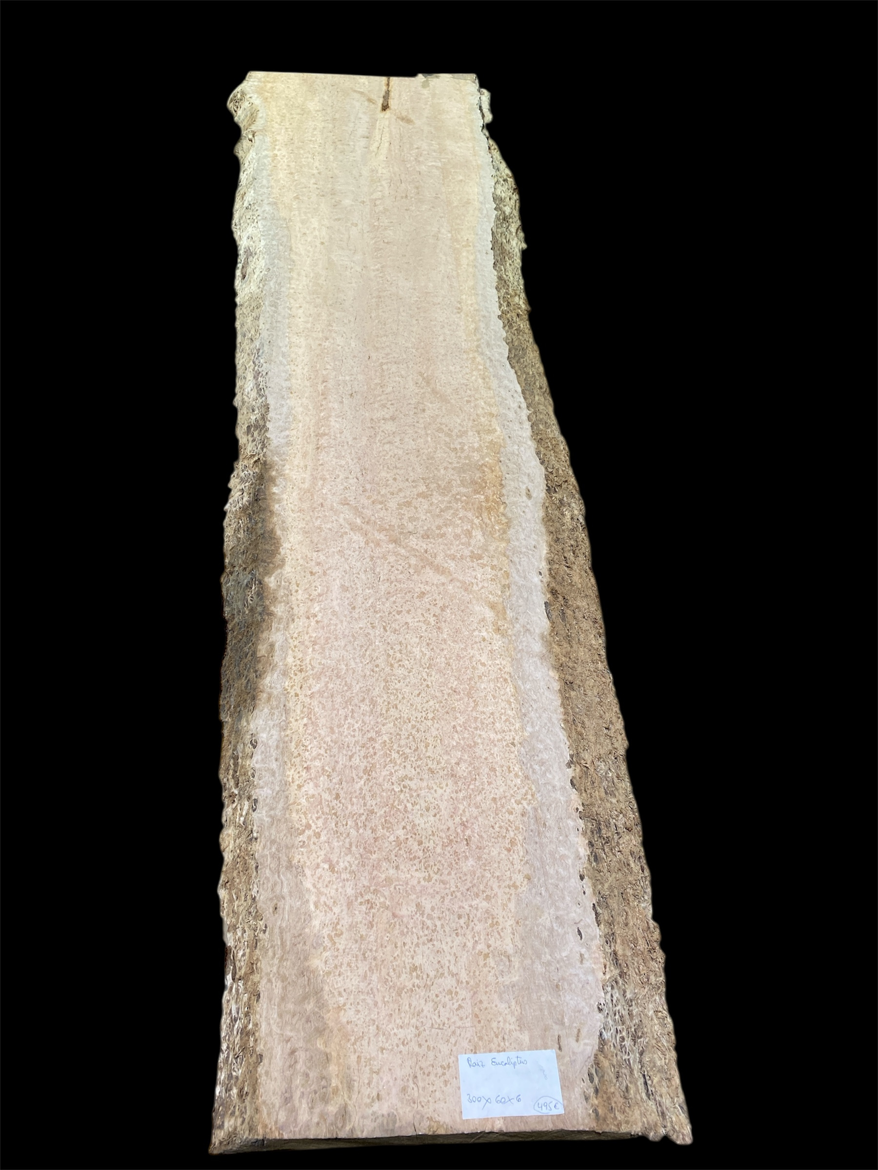 Tablón Raíz Eucaliptus