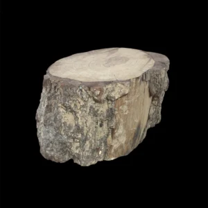 Tocón de Madera.